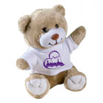 Teddy mit bedrucktem Hemdchen