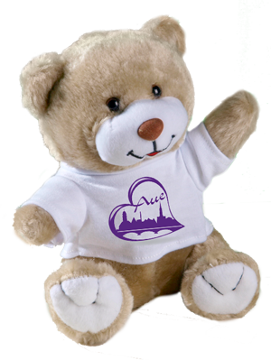 Teddy mit bedrucktem Hemdchen